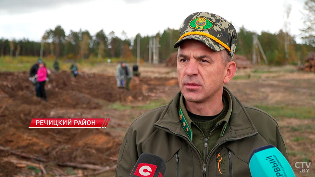 «Зелёная» миссия – по всей стране белорусы присоединились к посадке леса и озеленению-10