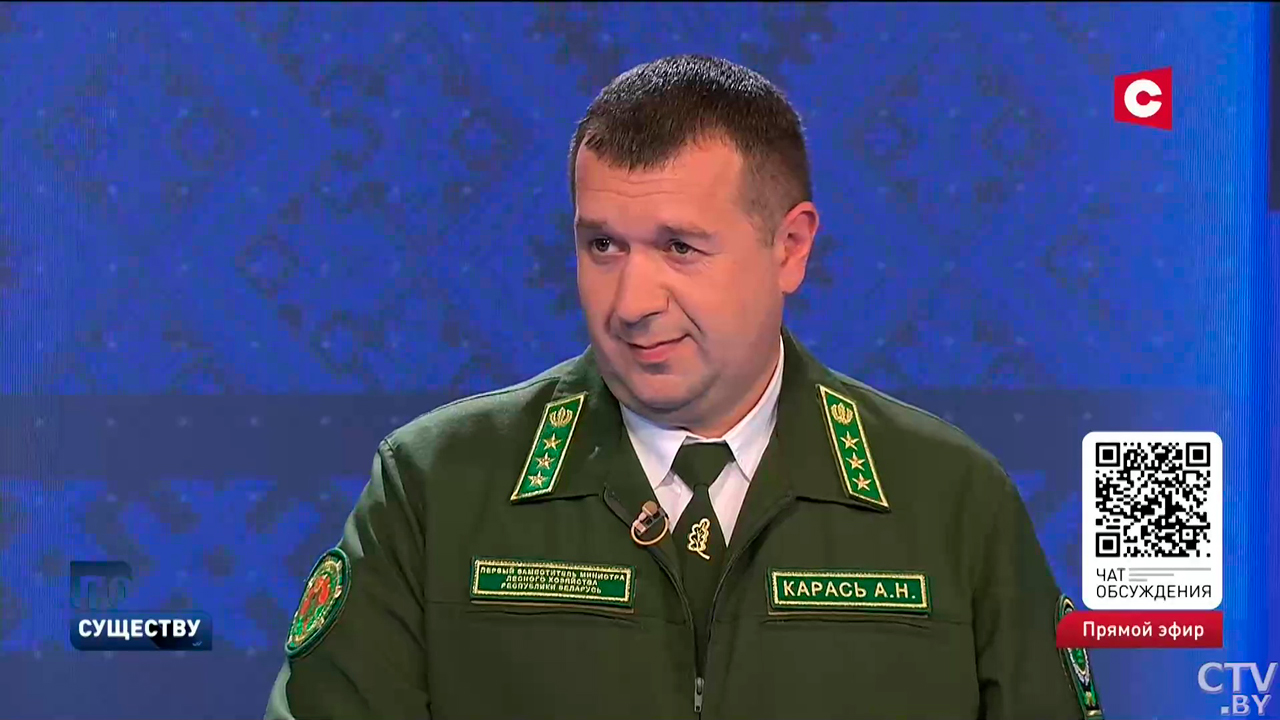Минлесхоз: ураган в Беларуси повалил порядка 3100 гектаров леса