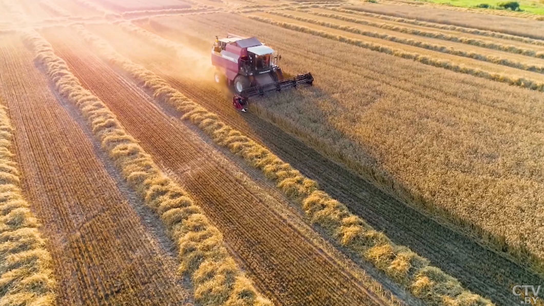 Кения – форпост для входа в Африку! Почему это сотрудничество важно для Беларуси?-2