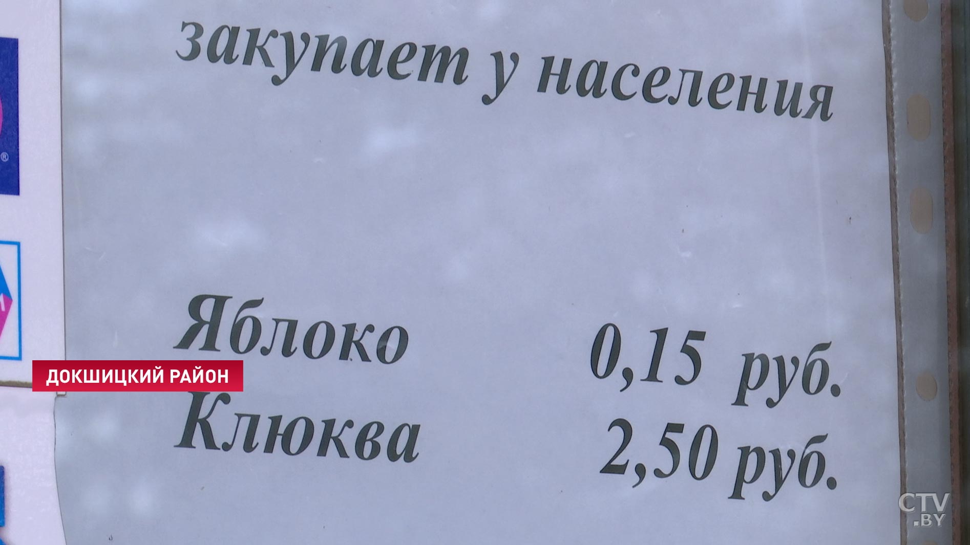 Белкоопсоюз начнёт закладку на зиму овощей и фруктов с 16 сентября-16