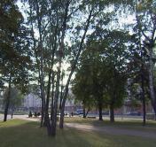 Ночью до 8°C и штормовой ветер. В Беларусь пришла осень