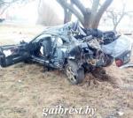 В Кобринском районе Mercedes врезался в дерево: пострадали два человека