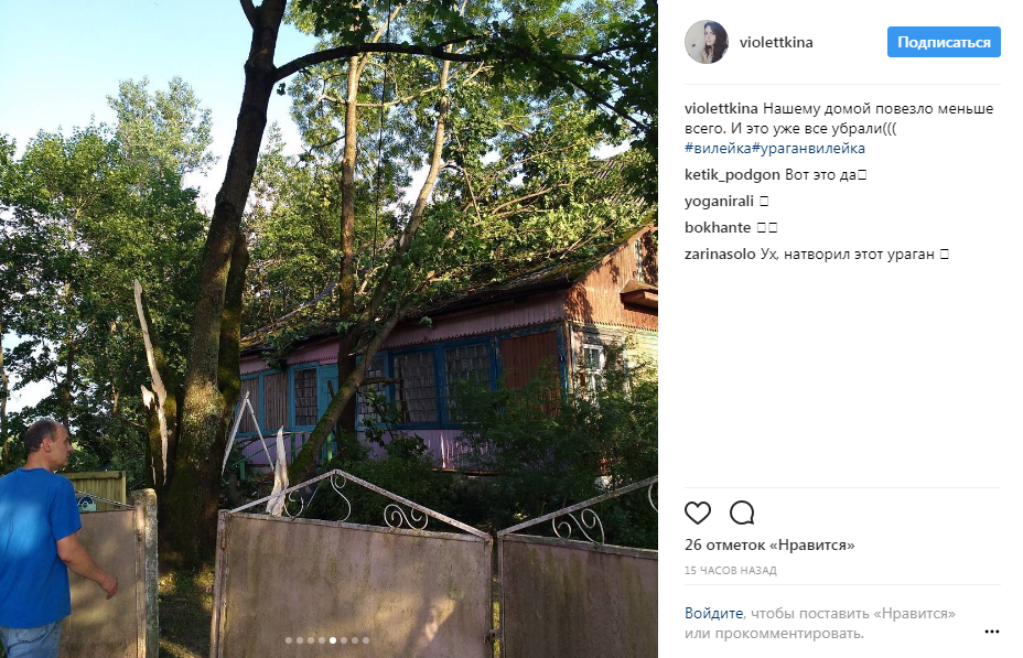 «Это конец света грядет?». На Витебск ночью напали мотыльки