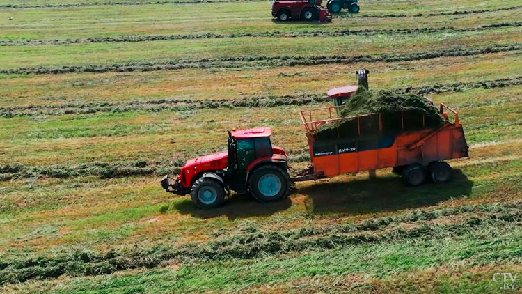 Тракторы BELARUS сравнивают с автоматом Калашникова. Чем уникальна техника белорусского производства?-10