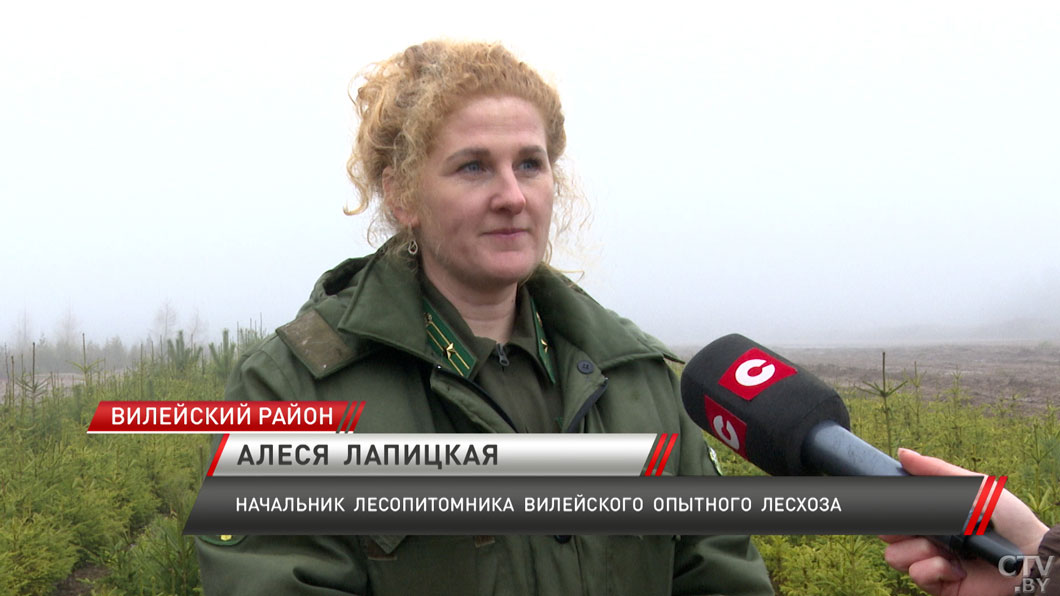 Более 200 ёлочных базаров открылись в Минской области-4