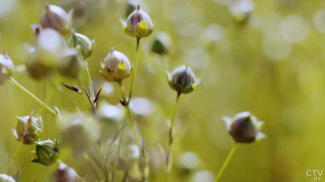 Образ, статус и стиль – что предлагают покупателю белорусские предприятия-10