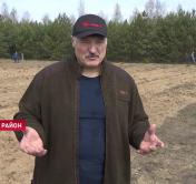 Президент Беларуси о коронавирусе: Разные страны начали разыгрывать свои внутренние карты на этом психозе