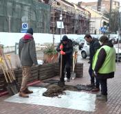 Какой штраф предусмотрен за то, что самостоятельно спилил дерево 