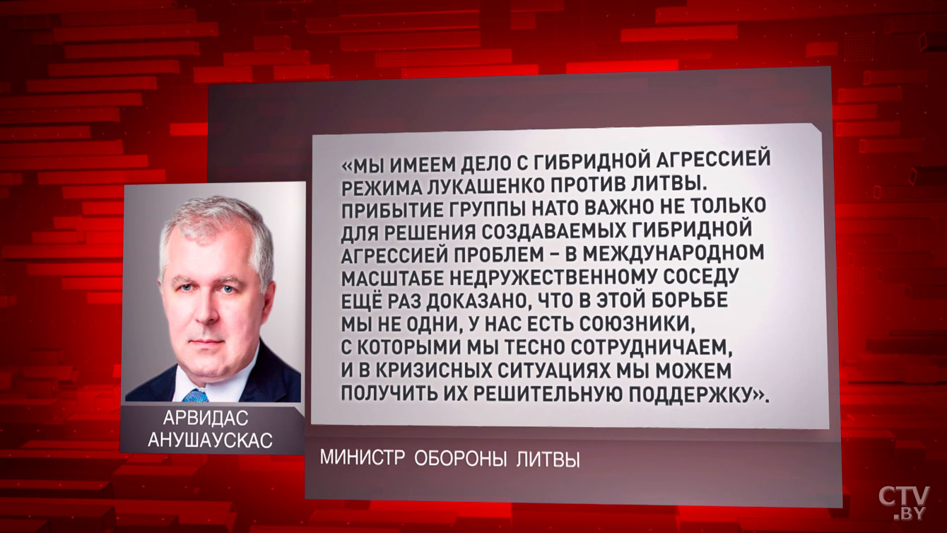 Пустовой: министра обороны Литвы женщины и дети Афганистана напугали так, что он считает их гибридным оружием Беларуси-28