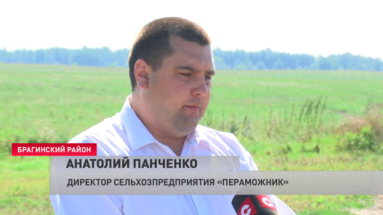 «Пераможник» стал лидером в гонке за урожай среди семи хозяйств Брагинского района. Аграрии делятся опытом-13