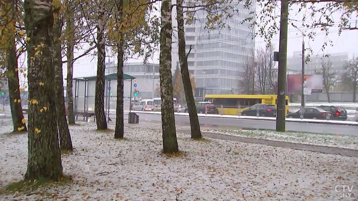 Если 15 ноября будет дождь, скоро наступят заморозки. Какие приметы подскажут приход зимы?-1