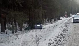 Под Логойском 53-летняя женщина за рулём Toyota врезалась в дерево