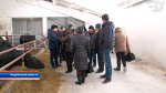 Аграрии Томской области приехали в Беларусь перенимать опыт