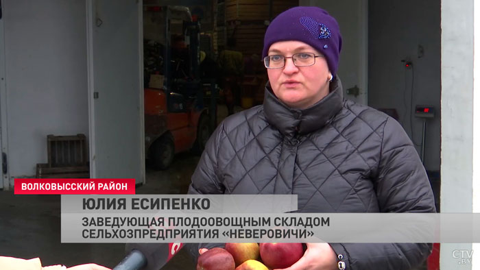 «Это не означает, что у нас уже всё». Чем занимаются аграрии с наступлением морозов?-13