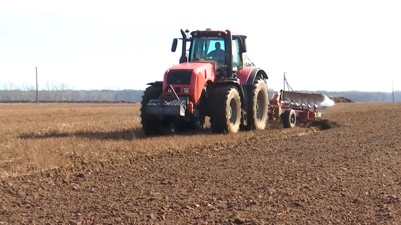 В нескольких областях Беларуси уже приступили к весеннему севу