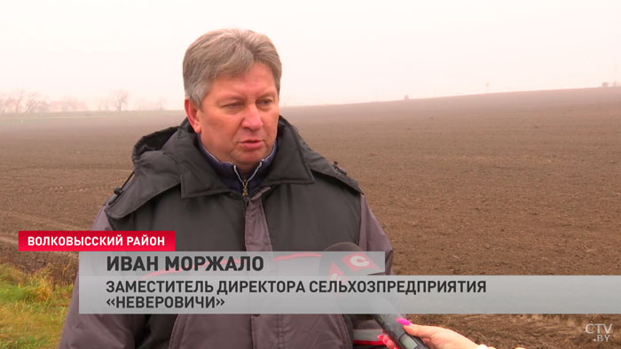«Это не означает, что у нас уже всё». Чем занимаются аграрии с наступлением морозов?-25