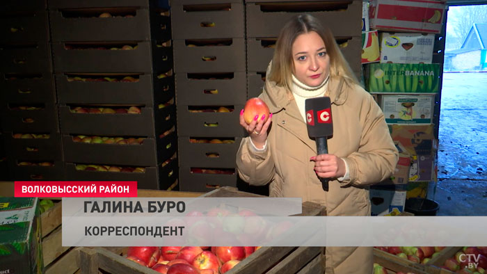 «Это не означает, что у нас уже всё». Чем занимаются аграрии с наступлением морозов?-16
