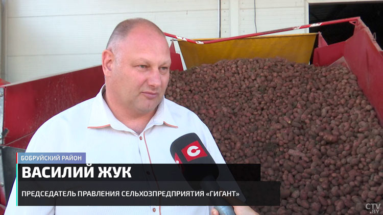 Стабильный урожай и серьёзная экономия. Выяснили, какие аграрные эксперименты дают результат-25