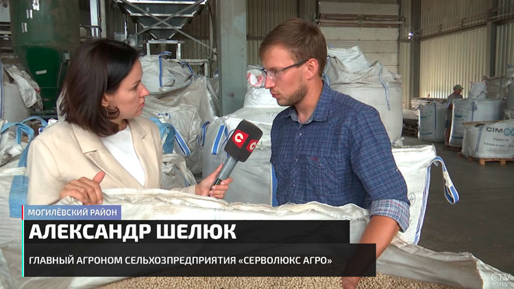 Стабильный урожай и серьёзная экономия. Выяснили, какие аграрные эксперименты дают результат-34