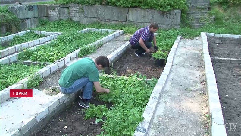 «Получить не только работу, но и жилье». В Горках старшеклассников знакомят с работой аграриев-1