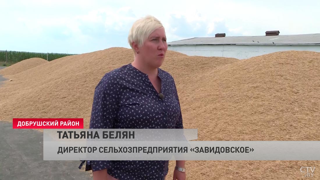 Справились в рекордные сроки. Это агропредприятие первым в стране завершило уборку зерновых-19