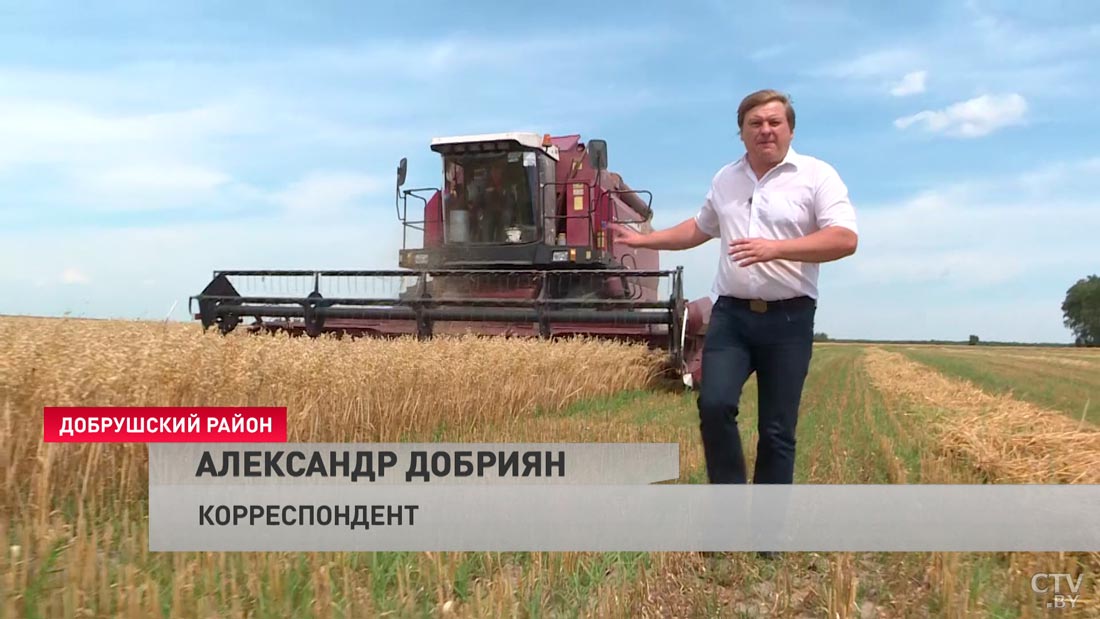 Справились в рекордные сроки. Это агропредприятие первым в стране завершило уборку зерновых-4