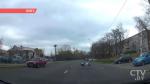Драма на асфальте: в Минске на дороге подрались два аиста Драма на асфальте: в Минске на дороге подрались два аиста