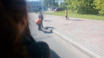 В Витебске водитель остановил троллейбус и спас утят