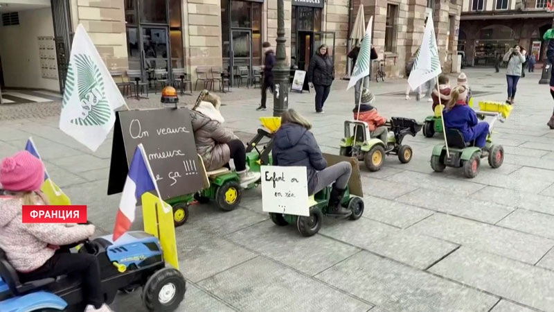 Французские дети решили поддержать протесты фермеров-1