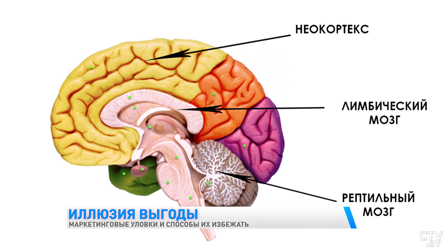 Могут учесть увеличение стоимости. На какие акционные предложения в магазине лучше не вестись?-10