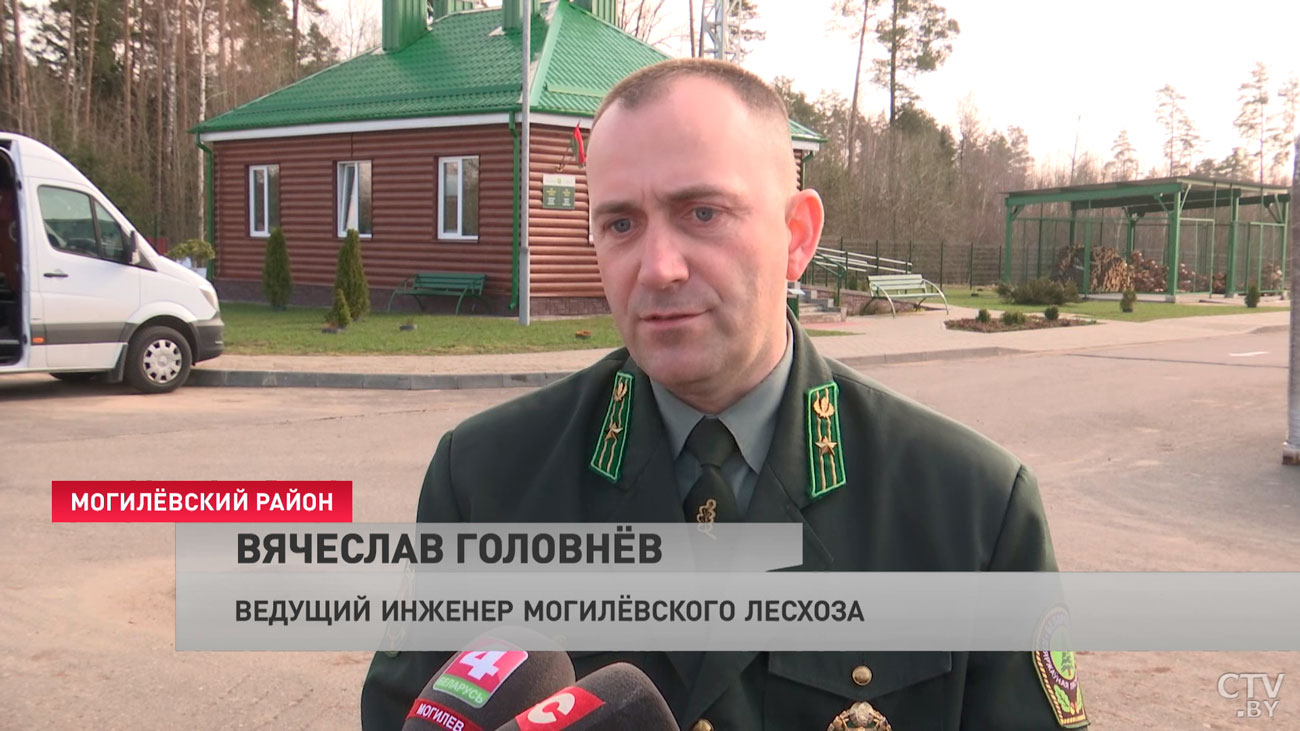 Акция «Неделя леса» пройдёт в Могилёвской области с 17 по 23 апреля-4
