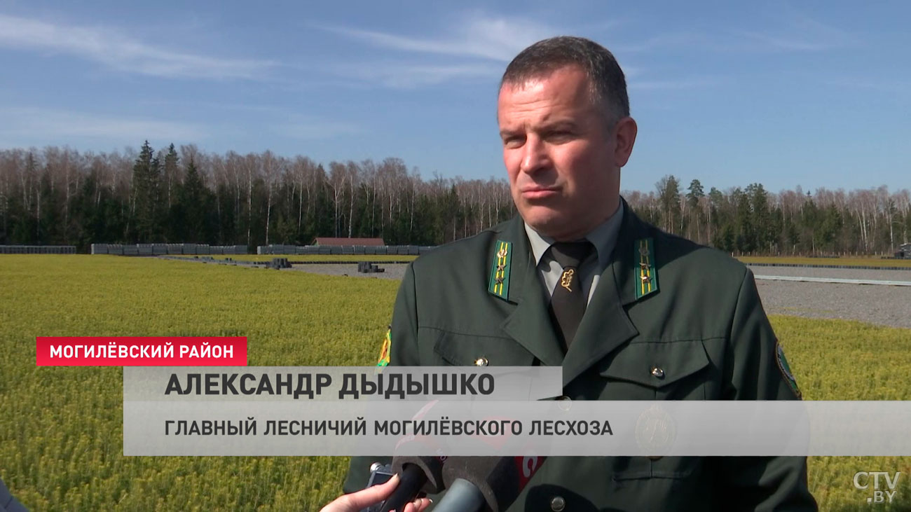 Акция «Неделя леса» пройдёт в Могилёвской области с 17 по 23 апреля-10