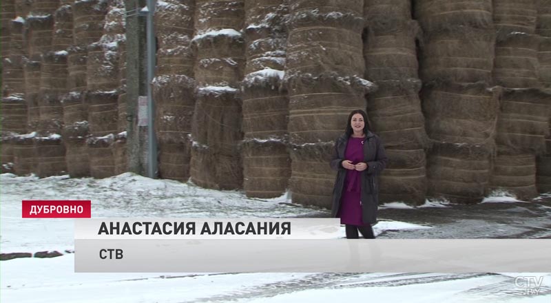 «Синее золото» Беларуси. В Дубровно впервые в стране отметили льняные «Дожинки»-6