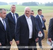 Президент Беларуси об урожае: 9,5 млн тонн зерна – минимум, который должны взять в этом году