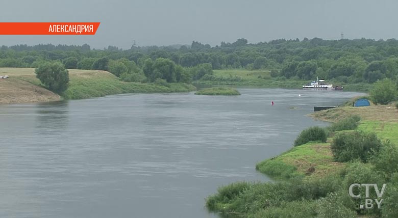 «Нам жизненно необходимо возвращаться к истокам». «Купалье» в Александрии – как это было-31