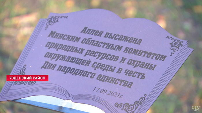 В честь Года народного единства. В Узденском районе появилась берёзовая аллея-7