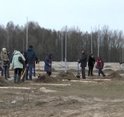 Журналисты высадили берёзовую аллею в парке 1000-летия Бреста