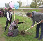 «Государство поддерживает, уважает и дорожит такими родителями». Многодетные семьи в Сенице высадили аллею «За Беларусь»