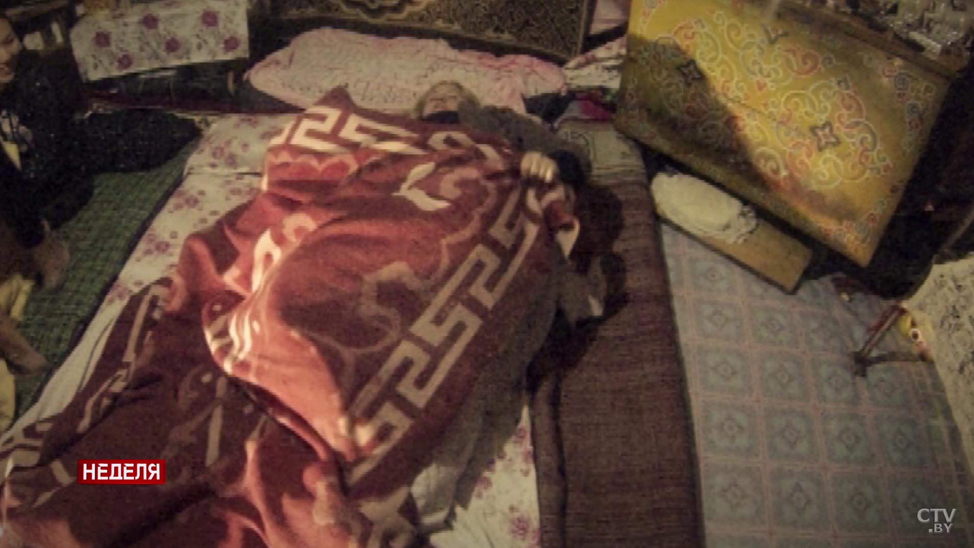 Анастасия Дехтяр: мы запутались в степи, ехали в 12 часов ночи с оператором, он подсвечивал дорогу водителю-4 Анастасия Дехтяр: мы запутались в степи, ехали в 12 часов ночи с оператором, он подсвечивал дорогу водителю-4