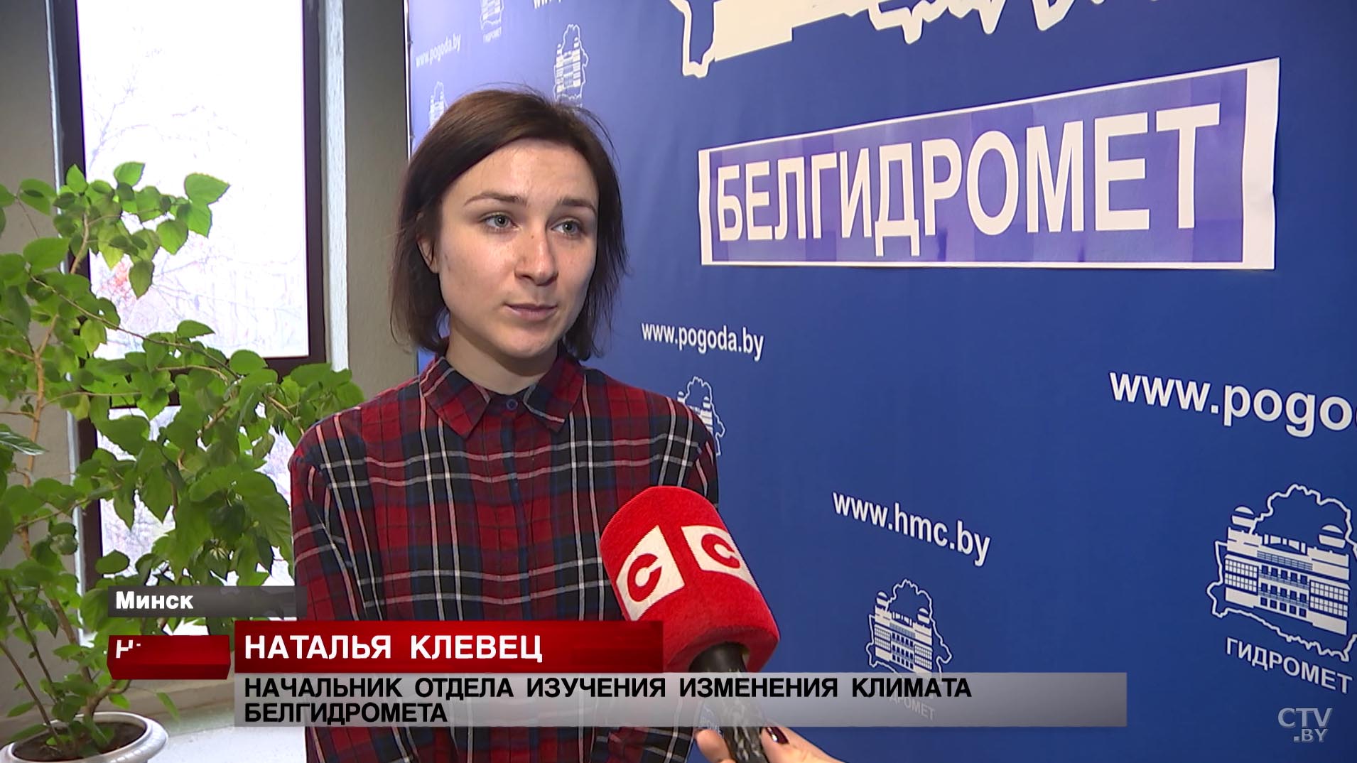 Белгидромет: именно в январе отмечаются периоды аномально тёплой погоды, до +10ºС-4