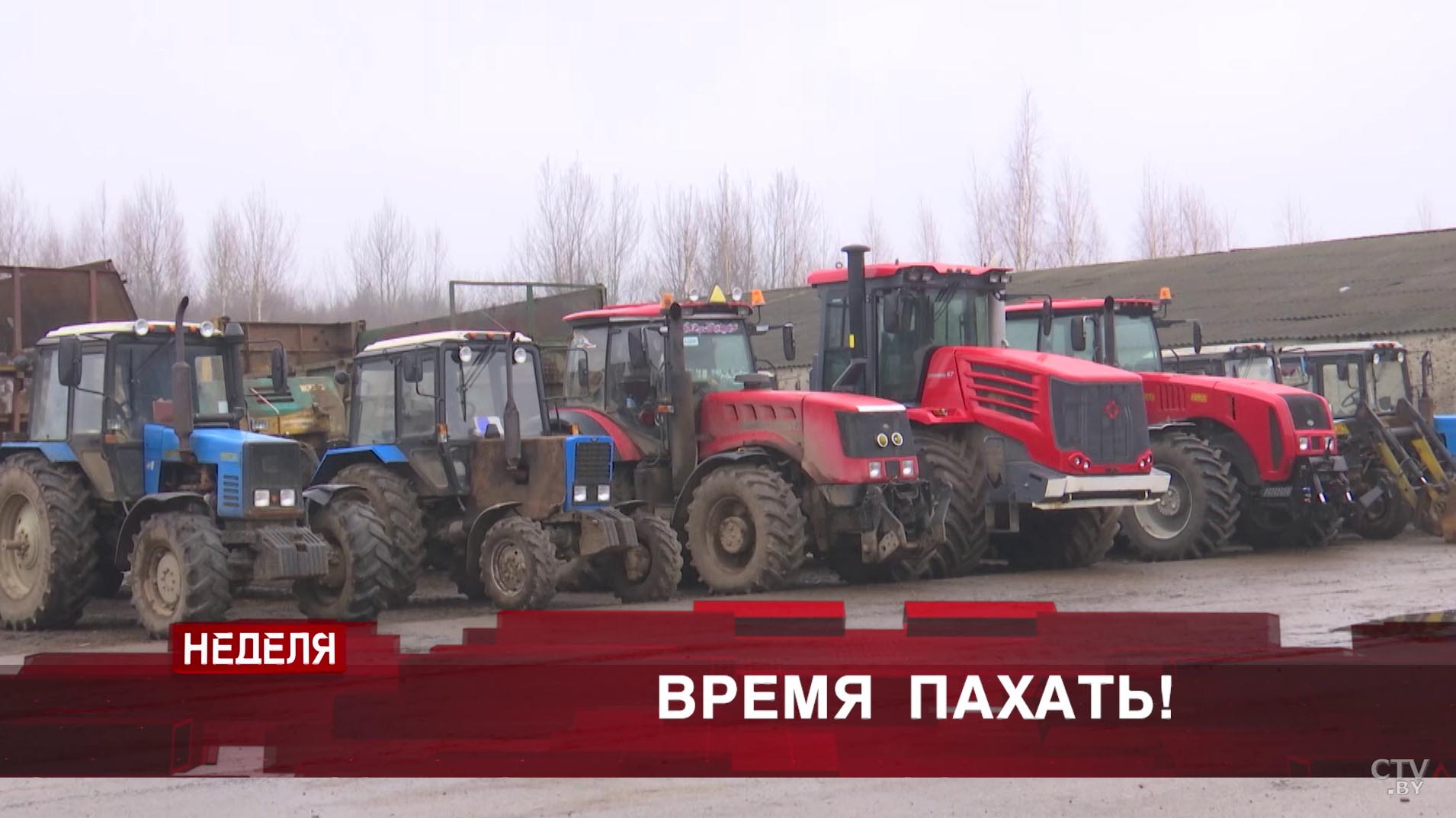 «Как-то так себе обманул, теперь ни денег, ни квартиры». Анонс программы «Неделя»-4