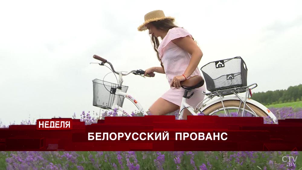 Прованс на юге Беларуси. Как превратить глубинку в Мекку фотографов? Анонс программы «Неделя»-3