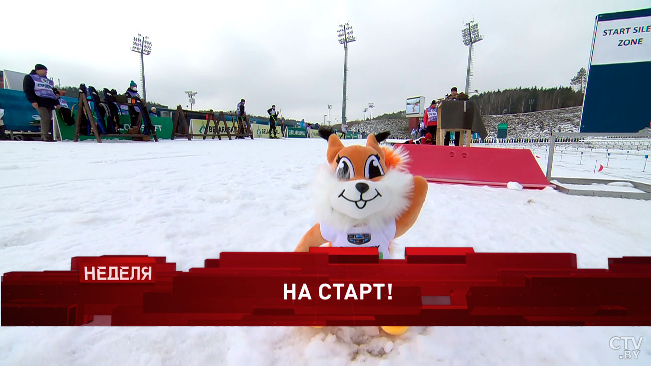 Какую породу коров вывели в Беларуси и почему дату 17 сентября называют особой? Анонс программы «Неделя»-4