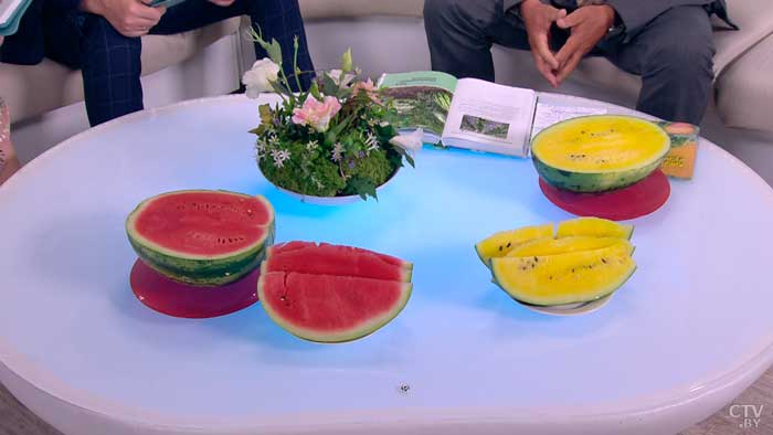 Содержание нитратов намного ниже. Почему белорусские арбузы вкуснее импортных?-13