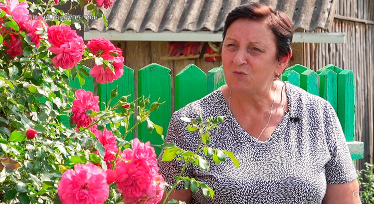 За лето – до 50 штук. Как вырастить вкусные арбузы на своём участке?-7 За лето – до 50 штук. Как вырастить вкусные арбузы на своём участке?-7