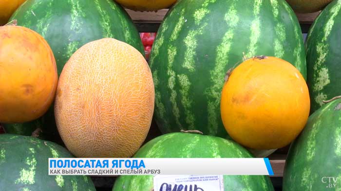 «Хвостик необязательно должен быть сухим». Как выбрать сладкий и спелый арбуз?-1