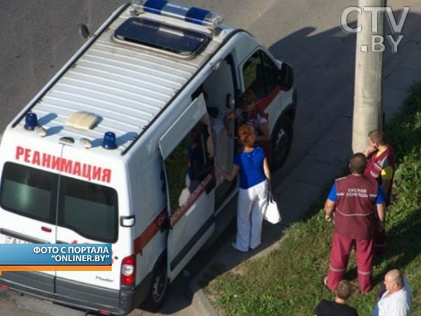 В Минске водитель автомобиля попал в ДТП из-за летучей мыши