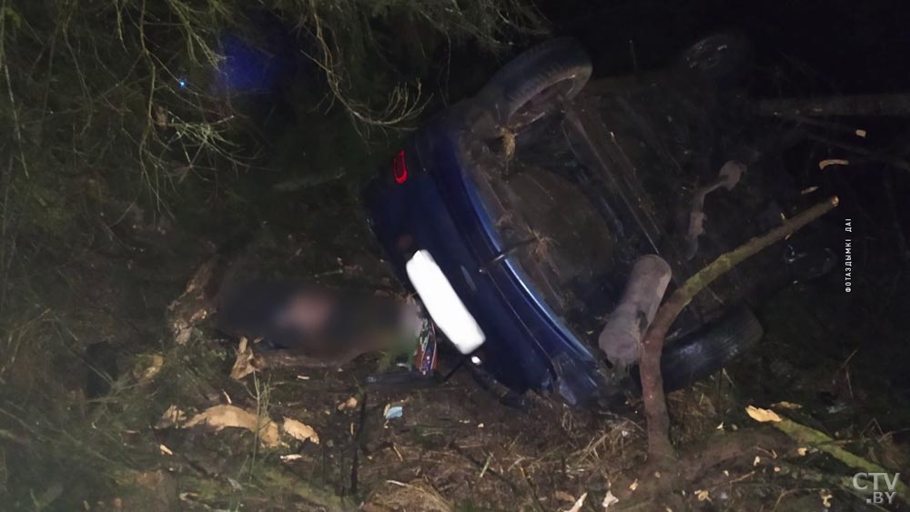 В Минской области Renault врезался в дерево, погиб пассажир-1