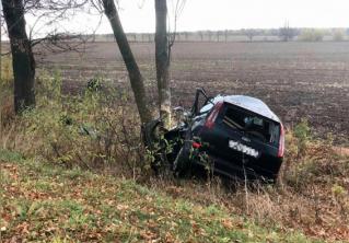 В Минской области Ford съехал в кювет и врезался в дерево. Водитель погиб на месте