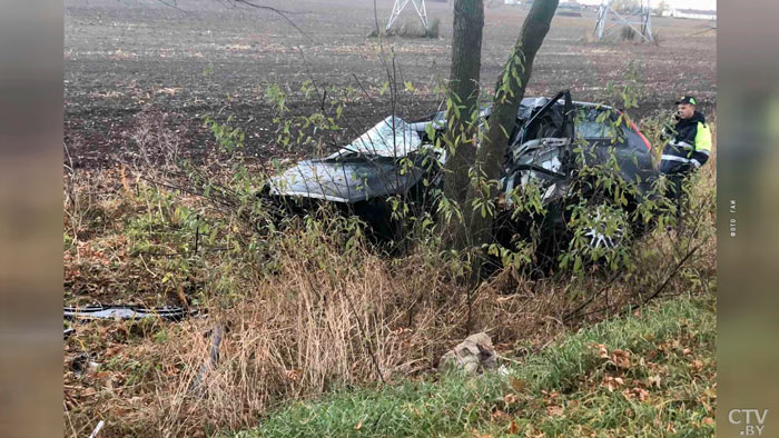 В Минской области Ford съехал в кювет и врезался в дерево. Водитель погиб на месте-1
